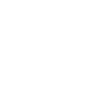 train icon